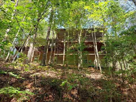 65 Dogwood Lane, Ellijay, GA 30540