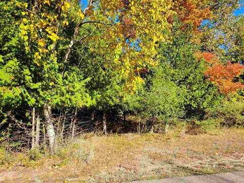 Lot 1 & Lot 2 Stonebridge, Charlevoix, MI 49720