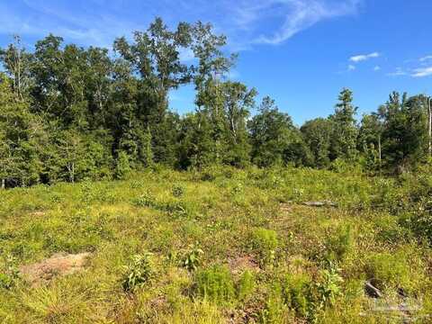 Lot 5-c Cotton Lake Rd, Molino, FL 32577