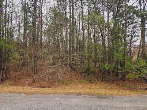 0 Lee Road 243, Smiths Station, AL 36877