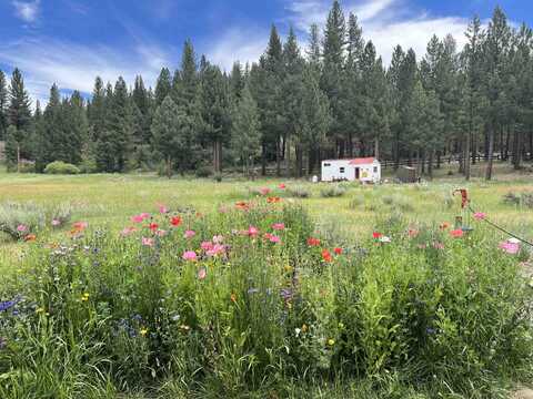 1060 Little Bear Road, Blairsden, CA 96103