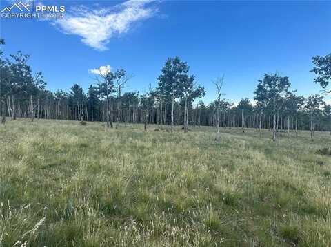 County Road 863, Victor, CO 80860