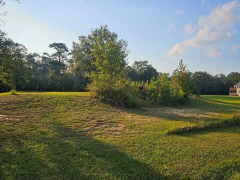 Lot 6 Ravenwood Dr, Picayune, MS 39466