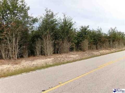 TBD Carroll Rd., Marion, SC 29571