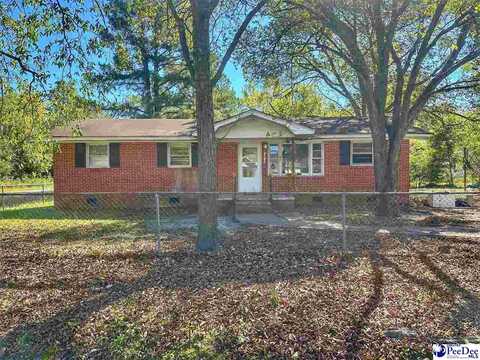 1514 Blackwell Avenue, Little Rock, SC 29567