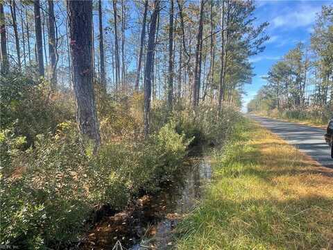 128ac Ann's Cove Road, Parksley, VA 23421