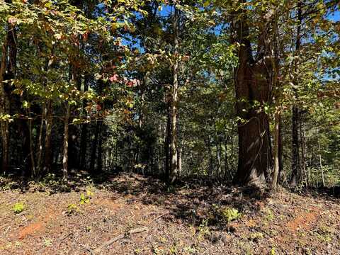 Lot 3 Narrows RD, Boones Mill, VA 24065