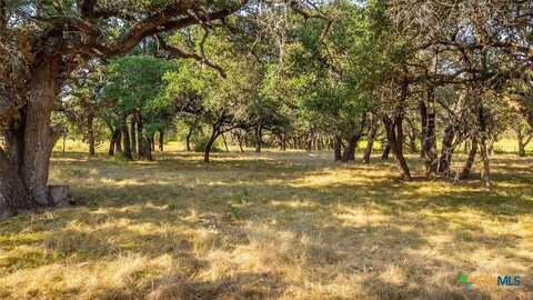 2455 County Road 2699, Lometa, TX 76853