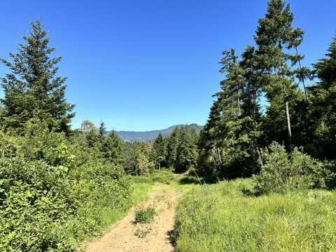 780 Tunnel Road, Glendale, OR 97442