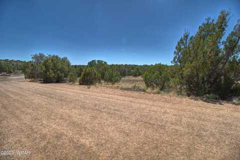 1916 Daggs Circle, Show Low, AZ 85901