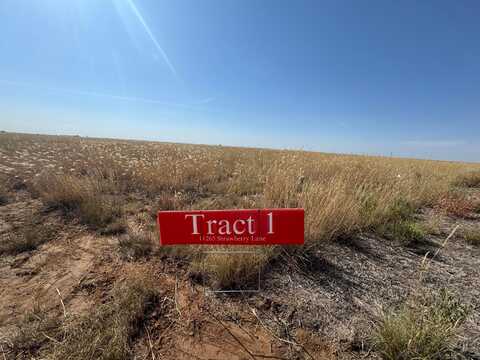 11265 Strawberry Lane, Hartley, TX 79044