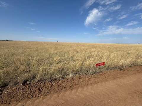 11225 Strawberry Lane, Hartley, TX 79044