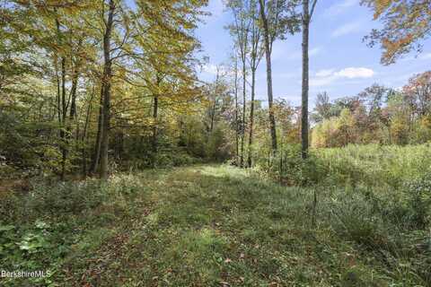 0 Silver Lot 2 St, Lanesborough, MA 01237