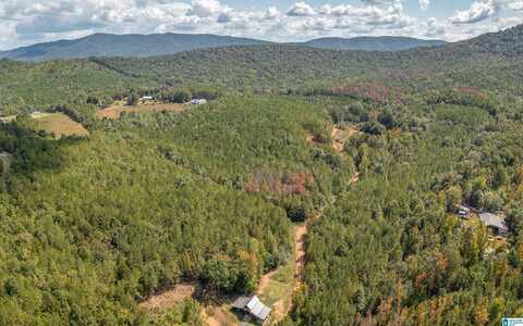 3.69 Acres TUCK-A-WAY DRIVE, PIEDMONT, AL 36272