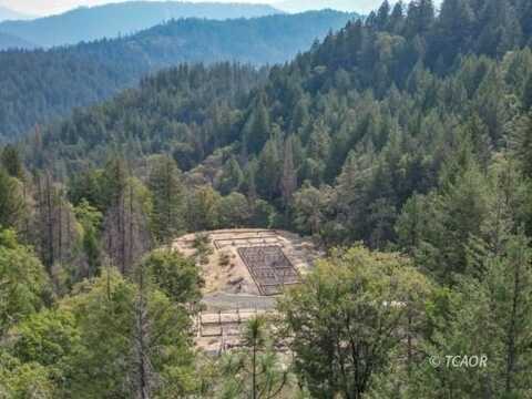 1800 Upper Democrat Gulch Rd, Weaverville, CA 96093