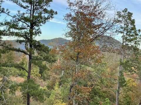 850 Jones Cemetery Road, Calico Rock, AR 72519