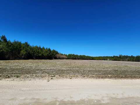 TBD Tansy Rd., Loris, SC 29569