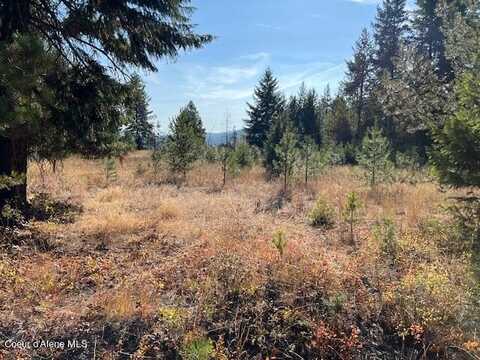 516 Westwood Dr, Moyie Springs, ID 83845