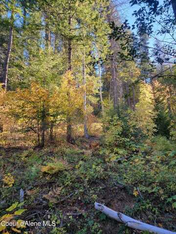 Nna Windham RD, Sagle, ID 83860