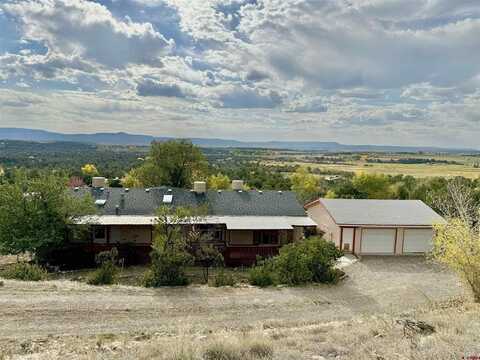 613 Pinon Hills Circle, Arboles, CO 81121