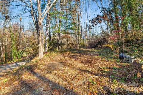 99999 Lamplighter Lane, Weaverville, NC 28787