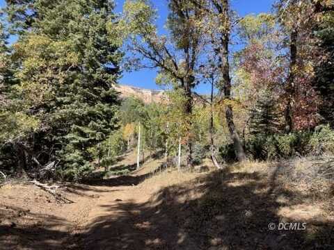 117 N Fir Cir, NA, UT 84762