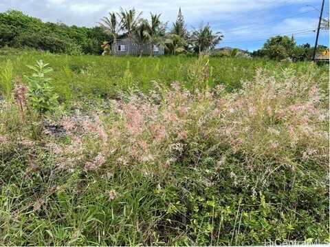 94-5721 Kalakau Street, Naalehu, HI 96772