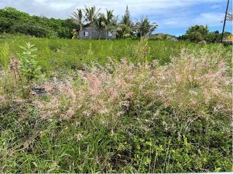 94-5721 KALAKAU ST, NAALEHU, HI 96772