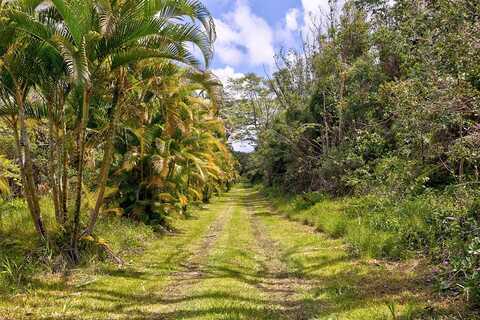 16-1514 ROAD 5 (UAU), MOUNTAIN VIEW, HI 96760