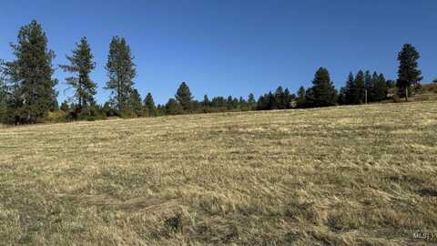 Tbd Highway 13 ( Parcel 4), Grangeville, ID 83530