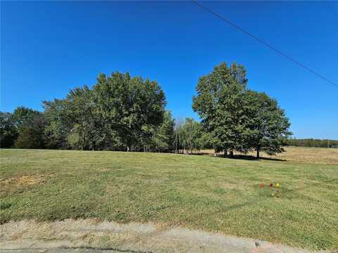 0 Queen Ann Court, Steeleville, IL 62288