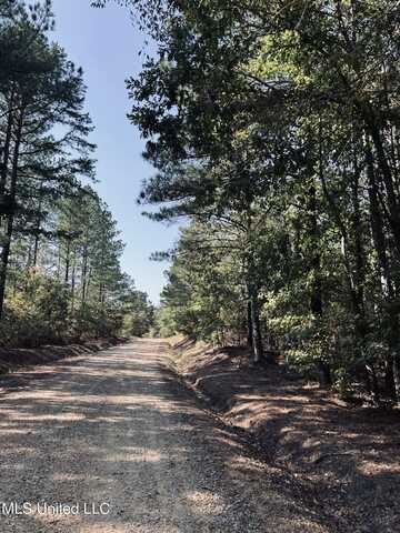 000 Couty Road 2247, Ethel, MS 39067