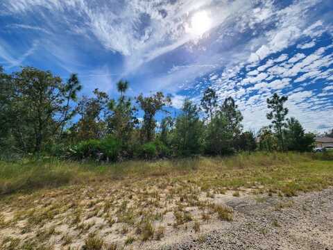 3336 W NIEMAN DRIVE, DUNNELLON, FL 34433