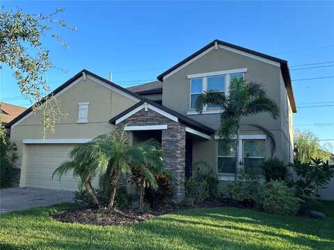 11417 CHILLY WATER COURT, RIVERVIEW, FL 33569