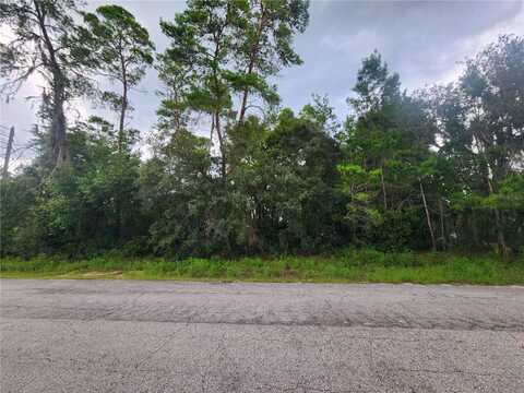 3008 CLEARWOOD STREET, INVERNESS, FL 34452