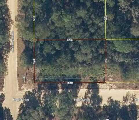 Lot 18 NEILSEN AVENUE, INTERLACHEN, FL 32148