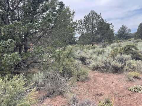 Harney Street, Sprague River, OR 97639