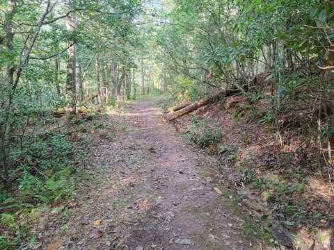 Kaleb Trail, Mineral Bluff, GA 30559