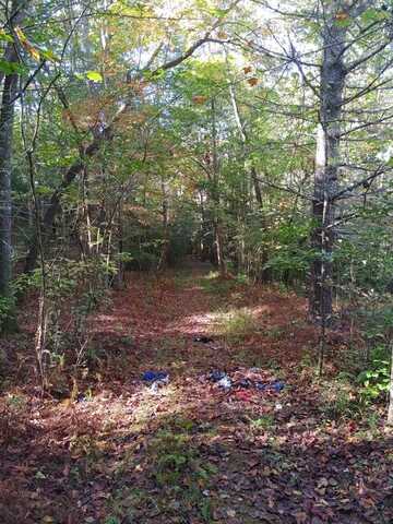 Kaleb Trail, Mineral Bluff, GA 30559