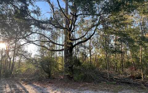 TBD 92ND PATH, Live Oak, FL 32060