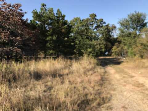 11795 E Highway 20 E, Spavinaw, OK 74366