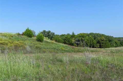 110 Pringle Court, Alvord, TX 76225