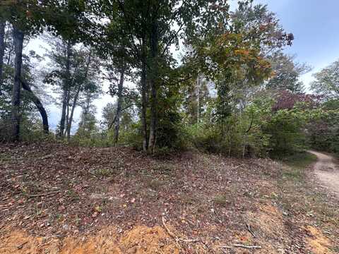 51 Dale Hollow Shore, Celina, TN 38551