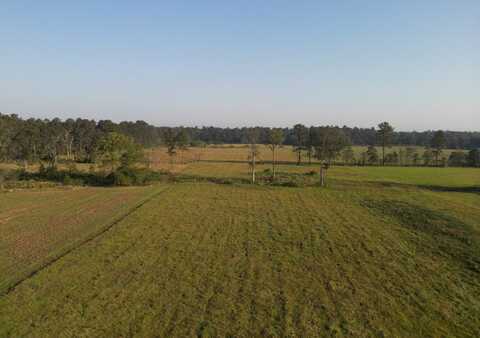 0 Critter Cove Lot W-23, Livingston, LA 70754