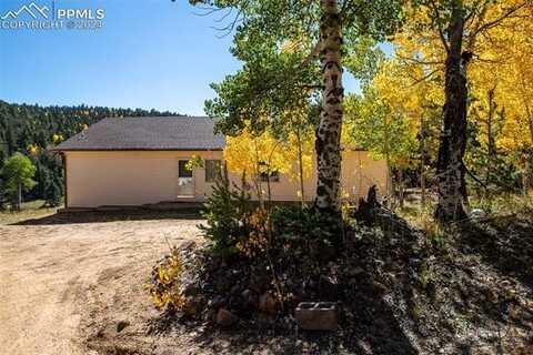 1054 Cantiberry Road, Divide, CO 80814