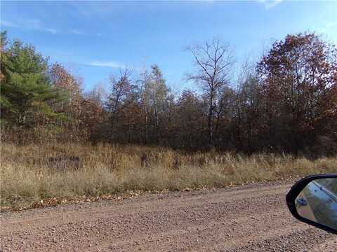 Lot 1 E Wemissem Rd, Wascott, WI 54838