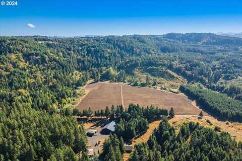 20900 21000 NE STRAWBERRY FLATS LN, Scotts Mills, OR 97375