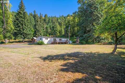 21000 NE STRAWBERRY FLATS LN, Scotts Mills, OR 97375