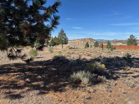 Unit 4 Lot 313 Indian Island, Weed, CA 96094