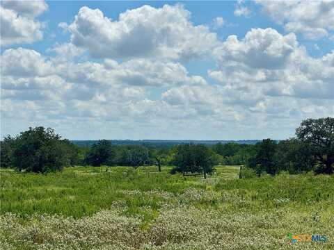 Tract C & D County Road 390, Gonzales, TX 78629